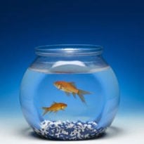 Somos WaterShed XC 11122 | Stratasys Direct